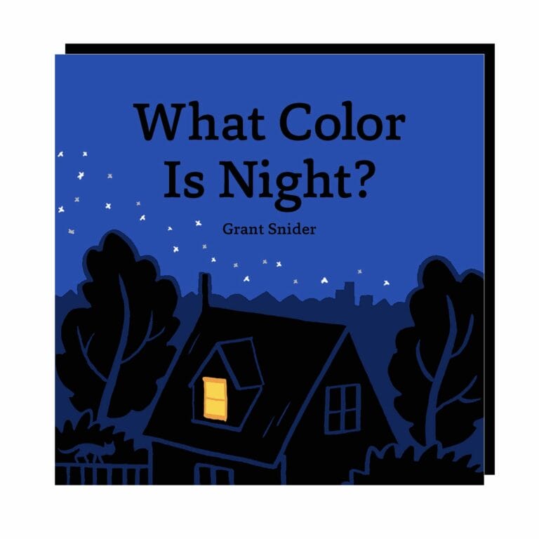 What Color Is Night? (HC)
