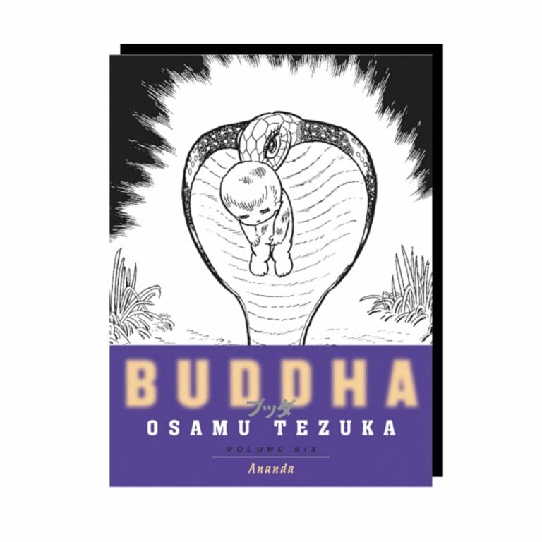 Buddha (Vol. 6)